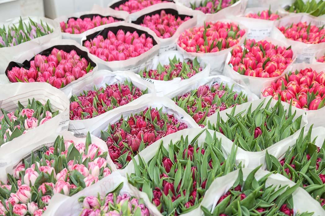 Где Купить Тюльпаны Новосибирск