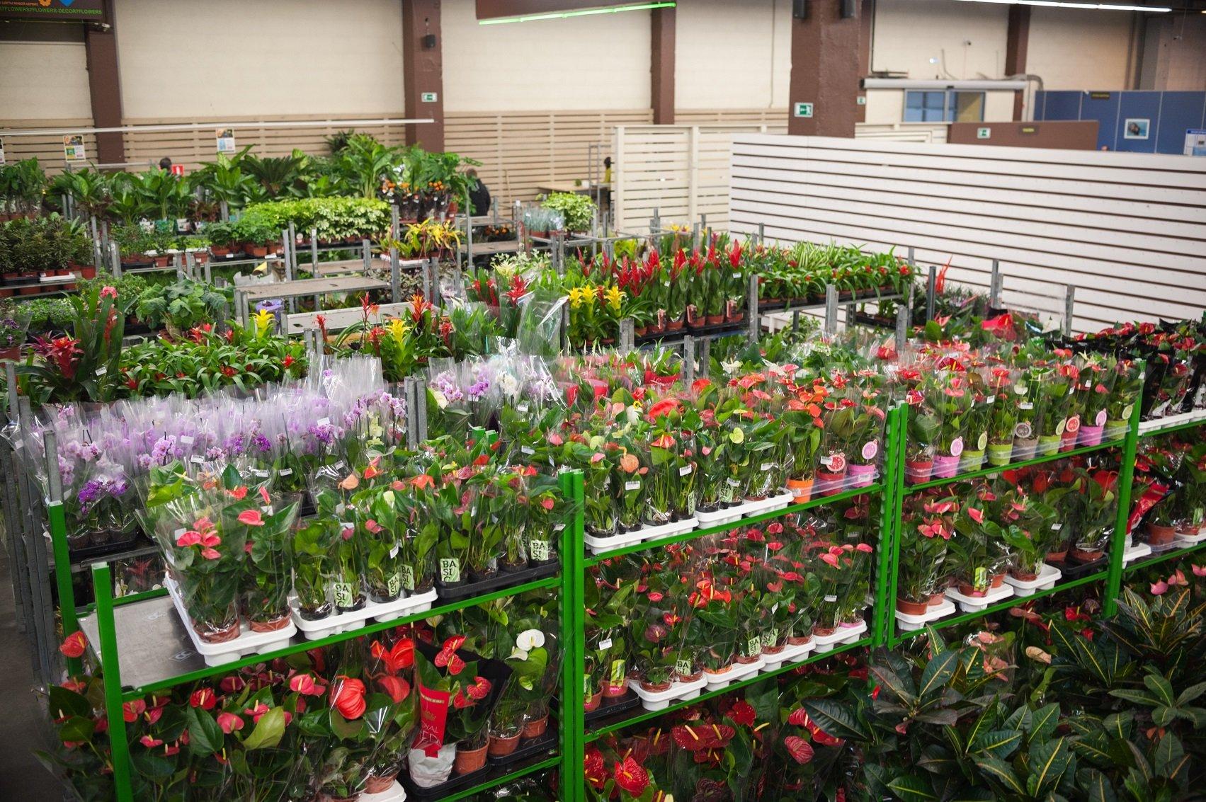 7Цветов, + 7 495 737-58-58, Молодогвардейская ул., 61, стр. 16, Moscow, Russia,