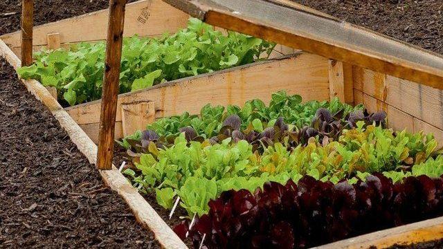 Агро портал