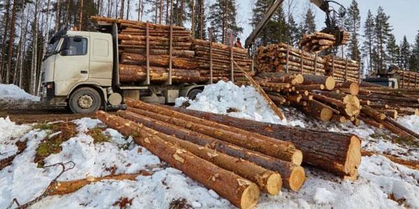 Лесопромышленная фирма ВЕЛЕС ИНДАСТРИАЛ